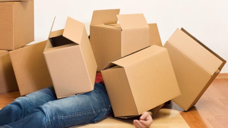 Moving day plans tips for your move